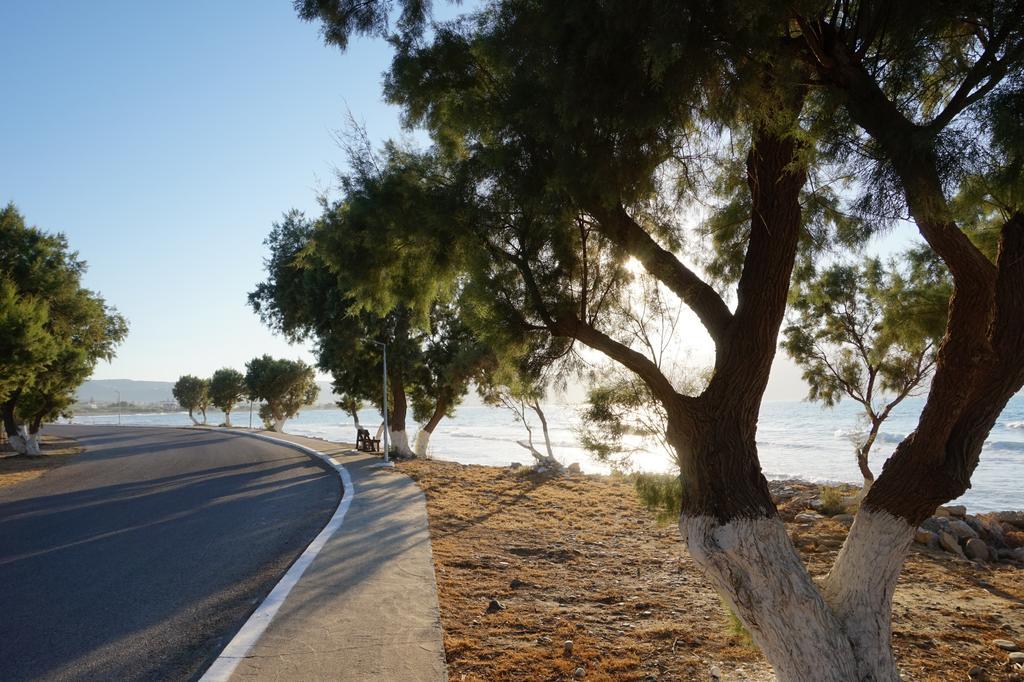 فيلا Oasea Tavronitis المظهر الخارجي الصورة